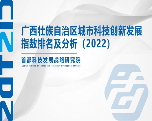 操肥白老太婆【成果发布】广西壮族自治区城市科技创新发展指数排名及分析（2022）